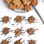 4-ingredient holiday cookies - Vegan and gluten-free perfect versatile cookies.